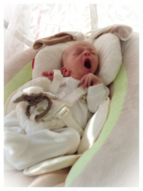 bunny swings, yawns bunny swings, yawns
