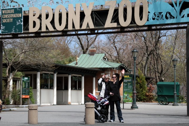 at the Bronx Zoo